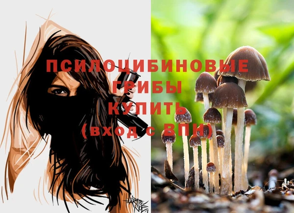 каннабис Белокуриха
